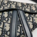 Dior Saddle Oblique — фото 10