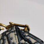 Dior Saddle Oblique — фото 11
