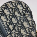 Dior Saddle Oblique — фото 14