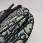 Dior Saddle Oblique — фото 15