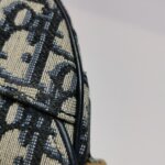 Dior Saddle Oblique — фото 16