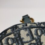 Dior Saddle Oblique — фото 18