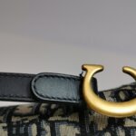 Dior Saddle Oblique — фото 21