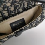 Dior Saddle Oblique — фото 8