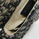 Dior Saddle Oblique — фото 9