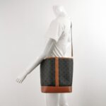 Celine Triomphe Canvas Logo — фото 2