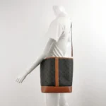 Celine Triomphe Canvas Logo (Селин) — фото 2