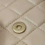Chanel Quilted Lambskin CC Crossbody (Шанель) — фото 13