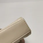 Chanel Quilted Lambskin CC Crossbody (Шанель) — фото 24