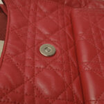 Dior Stardust Logo — фото 14