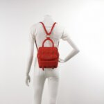 Dior Stardust Logo — фото 2