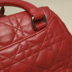 Dior Stardust Logo — фото 20