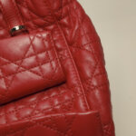 Dior Stardust Logo — фото 25