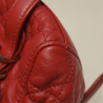 Dior Stardust Logo — фото 28