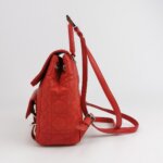 Dior Stardust Logo — фото 3