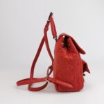 Dior Stardust Logo — фото 4