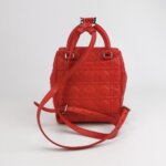 Dior Stardust Logo — фото 5