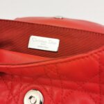 Dior Stardust Logo — фото 8