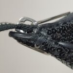 Celine Ava Logo — фото 13