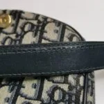 Dior Bobby Oblique CD — фото 10