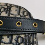 Dior Bobby Oblique CD — фото 11