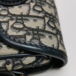 Dior Bobby Oblique CD — фото 16