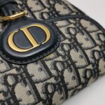 Dior Bobby Oblique CD — фото 20