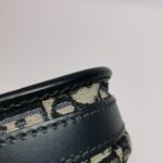 Dior Bobby Oblique CD — фото 21