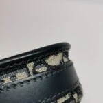 Dior Bobby Oblique CD — фото 21
