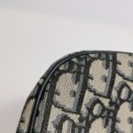 Dior Bobby Oblique CD — фото 22