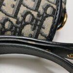 Dior Bobby Oblique CD — фото 25