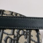 Dior Bobby Oblique CD — фото 28