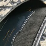 Dior Bobby Oblique CD — фото 9