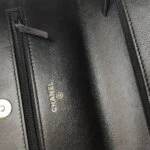 Chanel 19 Bag C (Шанель) — фото 10