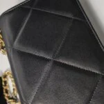 Chanel 19 Bag C (Шанель) — фото 21