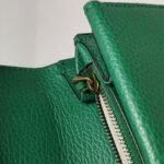 Gucci Dionysus — фото 19