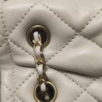 Chanel Crossbody — фото 16
