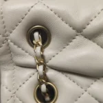 Chanel Quilted Lambskin Crossbody (Шанель) — фото 16