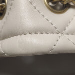 Chanel Crossbody — фото 17