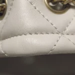 Chanel Quilted Lambskin Crossbody (Шанель) — фото 17