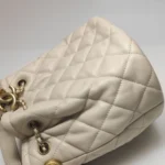 Chanel Quilted Lambskin Crossbody (Шанель) — фото 23