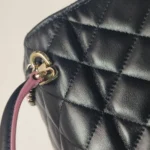 Chanel Flap Bag C Logo (Шанель) — фото 22