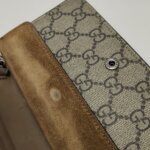 Gucci Dionysus GG — фото 11