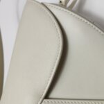 Dior Saddle — фото 18