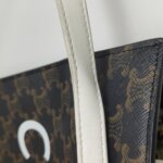 Celine Cabas Logo — фото 15