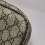 Gucci Ophidia G — фото 15