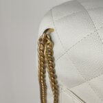 Chanel Flap Bag C — фото 14