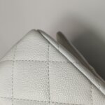 Chanel Flap Bag C — фото 19