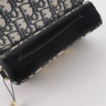 Dior 30 Montaigne Oblique CD — фото 7