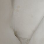 Celine Cabas Logo — фото 9